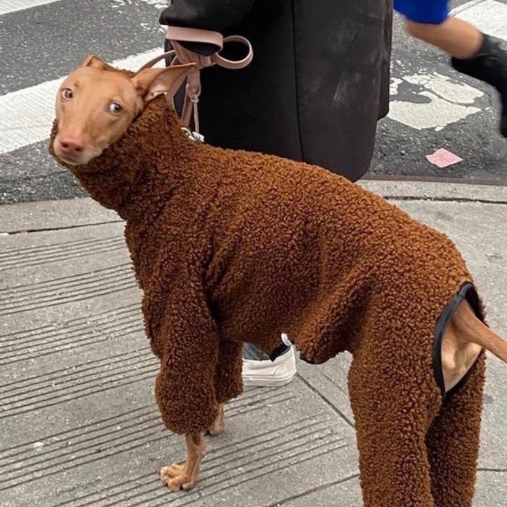 Meet your Posher, Fringe